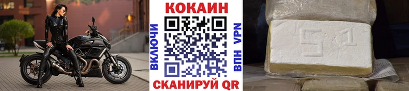 Купить закладки  Вельск  Cocaine Fish Scale 