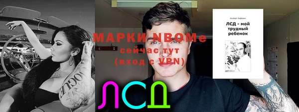 герыч Каменногорск