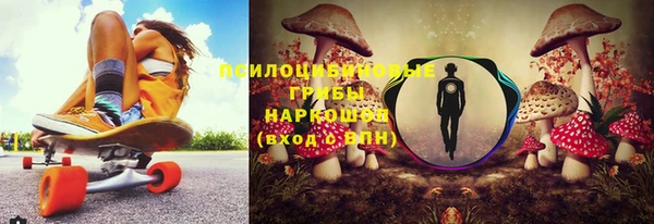 герыч Каменногорск