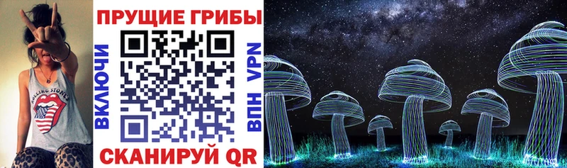 Галлюциногенные грибы MAGIC MUSHROOMS  Купить закладки  Вельск 