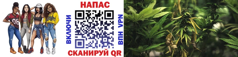 Купить  Вельск  Каннабис Bruce Banner 